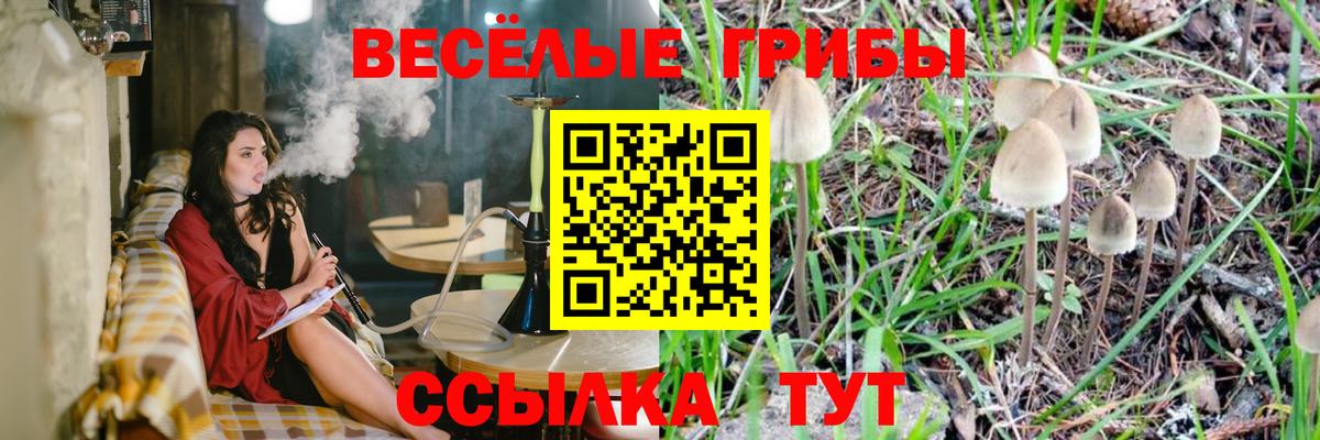 Псилоцибиновые грибы GOLDEN TEACHER Сатка