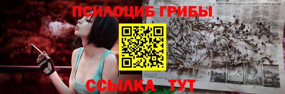 Галлюциногенные грибы Psilocybine cubensis  где найти наркотики  Сатка  Вход с VPN 